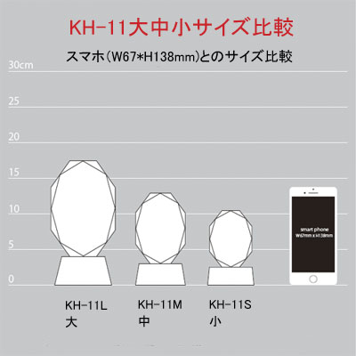 KX@ʔvKH-11咆TCYr}
